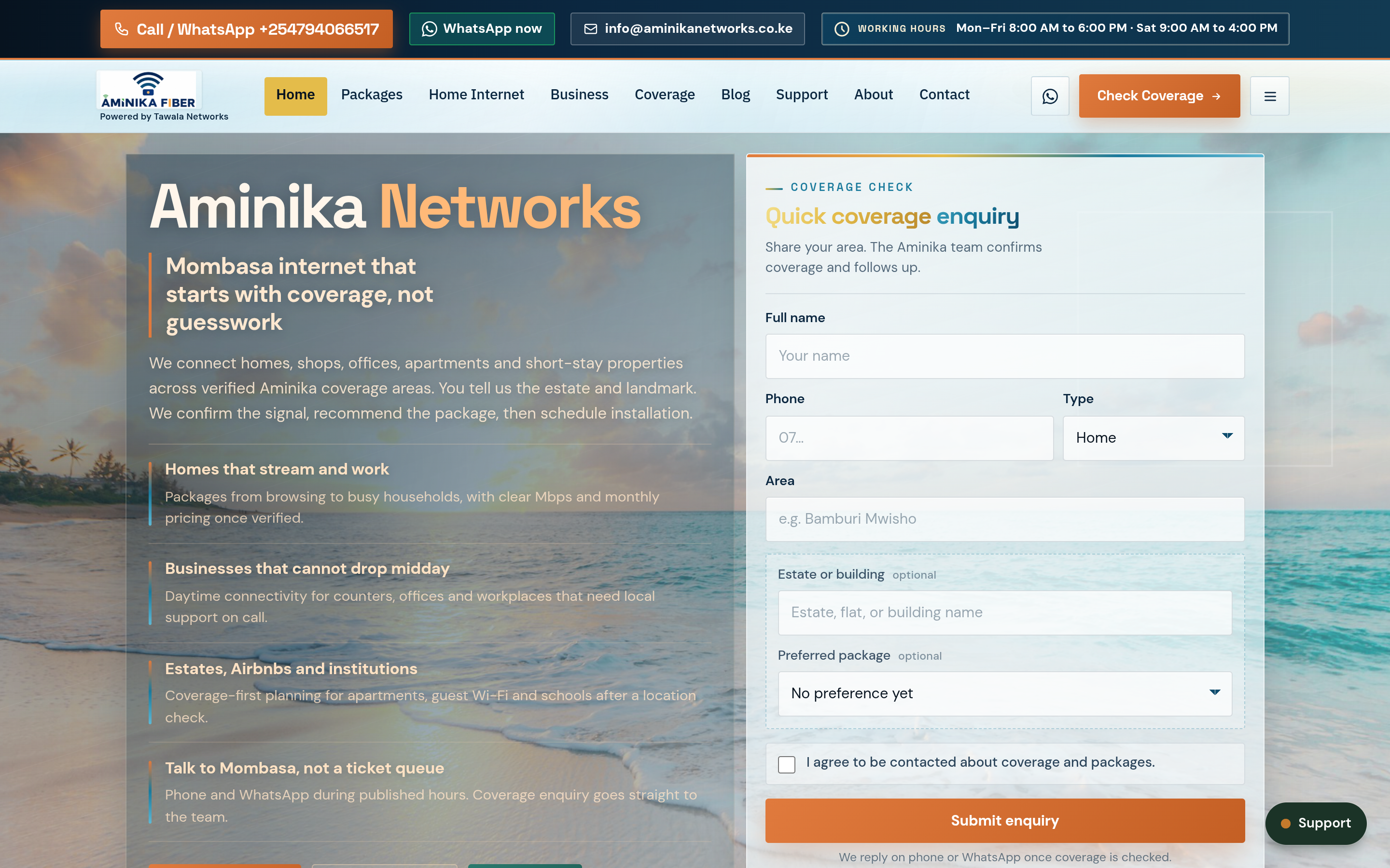 Aminika Networks website screenshot