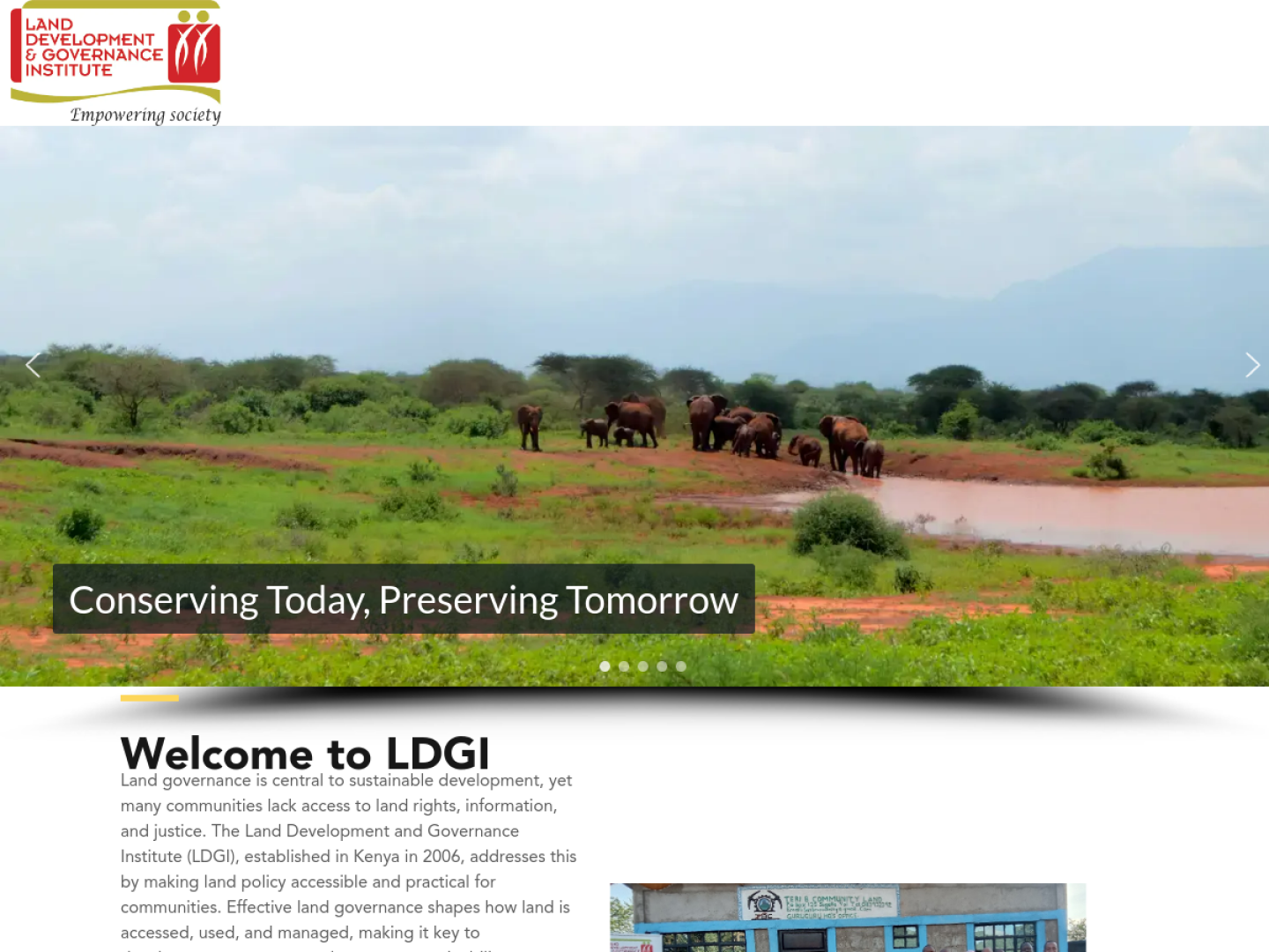 LDGI website screenshot